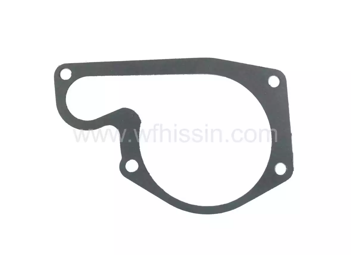 Water pump housing gasket YSD490